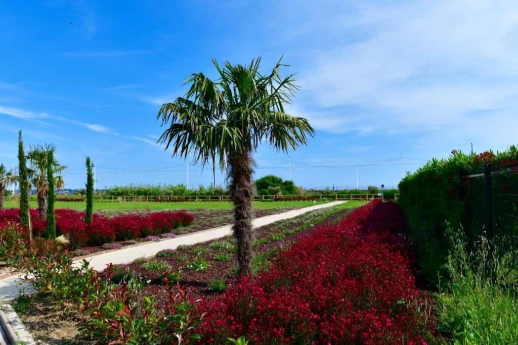 Domaine Juan Flore 앙티브 외부 사진